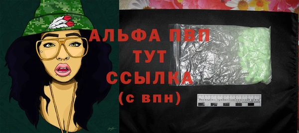 ГАЛЛЮЦИНОГЕННЫЕ ГРИБЫ Вязники