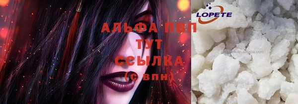 ГАЛЛЮЦИНОГЕННЫЕ ГРИБЫ Вязники