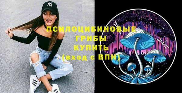 соль ск Горнозаводск