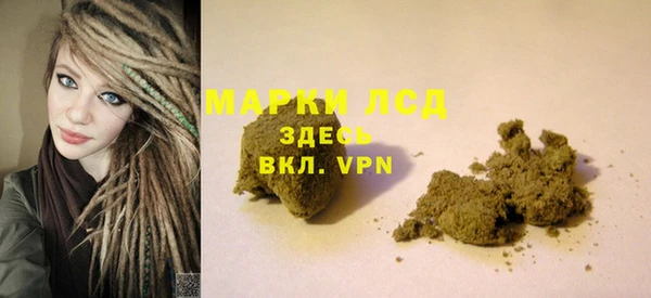 гашик Вязьма
