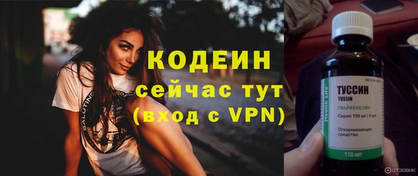дурь Вяземский