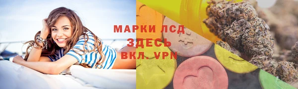 дурь Вяземский