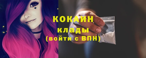 ГАЛЛЮЦИНОГЕННЫЕ ГРИБЫ Вязники