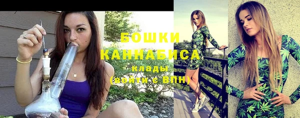 гашик Вязьма