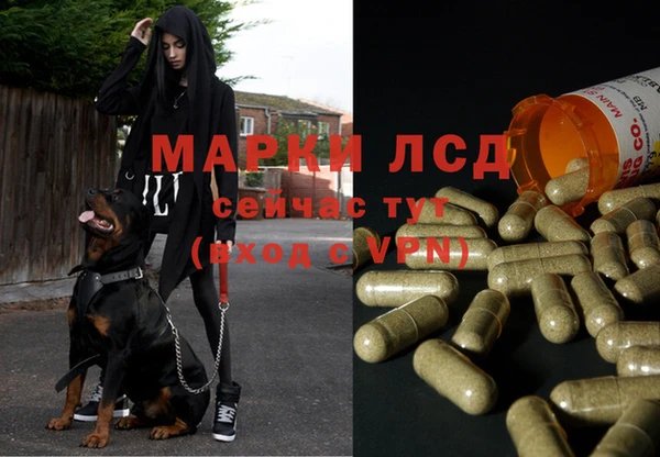 гашик Вязьма
