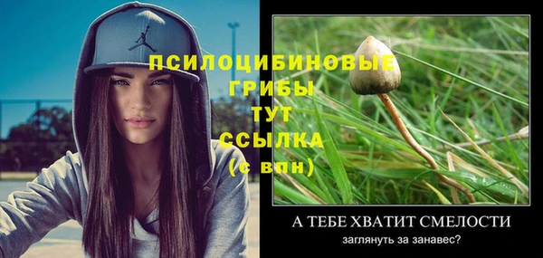 дурь Вяземский