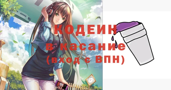 гашик Вязьма