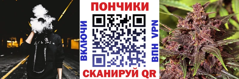 Купить где  Кизилюрт  Каннабис тримм 